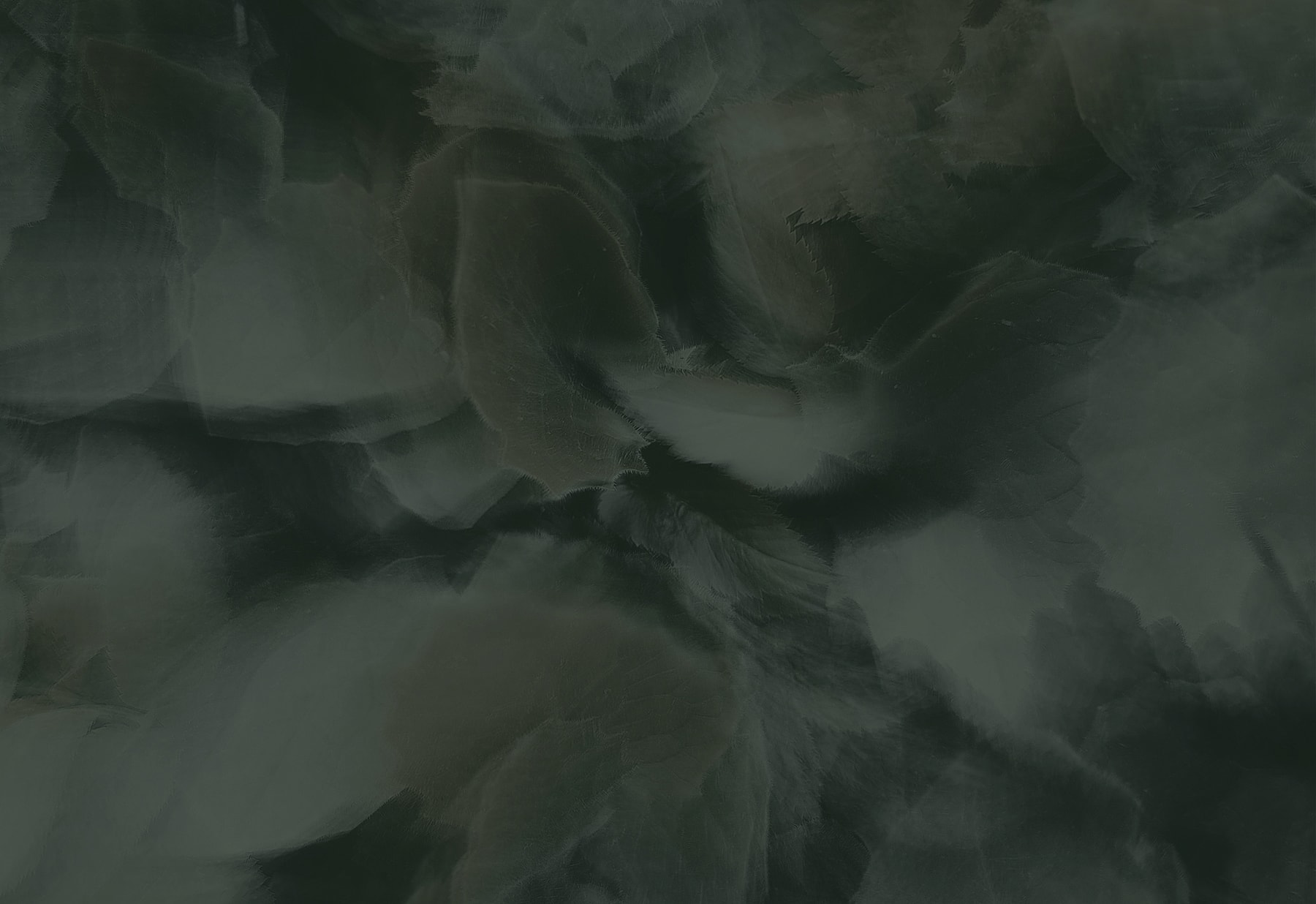 Abstract curved lines in blue gradient background.